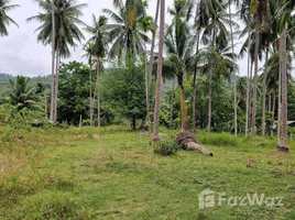 ขายที่ดิน ใน ขนอม, นครศรีธรรมราช, ขนอม, ขนอม, นครศรีธรรมราช, ไทย