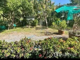  Land for sale in Sai Yai, Nonthaburi, Sai Yai, Sai Noi, Nonthaburi
