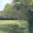  Land for sale in Huai Sai, Chiang Mai, Huai Sai, Mae Rim