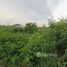 Land for sale in Lop Buri, Chong Sarika, Phatthana Nikhom, Lop Buri