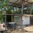 Land for sale in Lamphun, Makok, Pa Sang, Lamphun