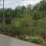  Land for sale in Rayong, Thung Khwai Kin, Klaeng, Rayong