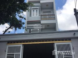 10 Bedroom House for sale in Ho Chi Minh City, Thoi Tam Thon, Hoc Mon, Ho Chi Minh City