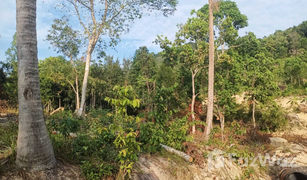 N/A Grundstück zu verkaufen in Ko Pha-Ngan, Koh Samui 