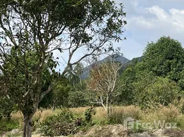 ขายที่ดิน ใน เกาะพะงัน, สุราษฎร์ธานี, เกาะพะงัน, เกาะพะงัน