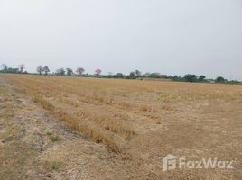  Land for sale in Mueang Chachoengsao, Chachoengsao, Bang Toei, Mueang Chachoengsao