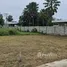  Terreno (Parcela) en venta en San Pu Loei, Chiang Mai, San Pu Loei, Doi Saket, Chiang Mai