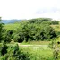  Terrain for sale in Phuket, Thep Krasattri, Thalang, Phuket