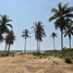  Land for sale in Bo Nok, Hua Hin, Bo Nok
