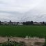  Land for sale in Mueang Chiang Mai, Chiang Mai, Mae Hia, Mueang Chiang Mai