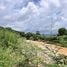  Land for sale in Nong Bon, Bo Rai, Nong Bon