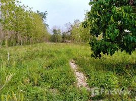 N/A Land for sale in Phichai, Lampang 3 Rai Land with Building for Sale in Mueang Lampang