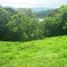  Land for sale in Tilaran, Guanacaste, Tilaran