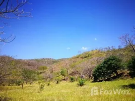  Grundstück zu verkaufen in Canas, Guanacaste, Canas