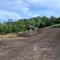  Land for sale in Bo Phut, Surat Thani, Bo Phut, Koh Samui