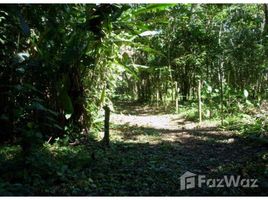 N/A Land for sale in , Limon Limón