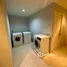 บ้านเดี่ยว 4 ห้องนอน ให้เช่า ในโครงการ เอสดับบลิว 38 เพลส, พระโขนง