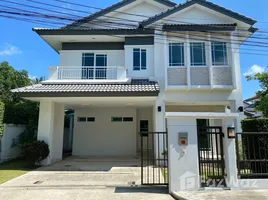 4 Bedroom House for rent at Siwalee Choeng Doi, Mae Hia, Mueang Chiang Mai, Chiang Mai, Thailand