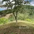  Land for sale in Cartago, Cartago, Cartago