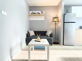 คอนโด 1 ห้องนอน ให้เช่า ในโครงการ เดอะซีน, กะทู้