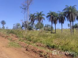  Grundstück zu verkaufen in Alvaraes, Amazonas, Alvaraes, Amazonas, Brasilien