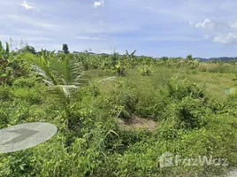 ขายที่ดิน ใน เชิงทะเล, ภูเก็ต, เชิงทะเล