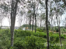 ขายที่ดิน ใน สาคู, ภูเก็ต, สาคู