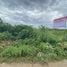  Land for sale in Chiang Yuen, Maha Sarakham, Chiang Yuen, Chiang Yuen
