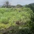  Terreno (Parcela) en venta en Akwapim North, Eastern, Akwapim North, Eastern