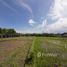  Land for sale in Tabanan, Bali, Tabanan