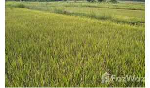 N/A Grundstück zu verkaufen in Ngio, Chiang Rai 