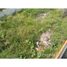  Land for sale in Sao Pedro Da Aldeia, Rio de Janeiro, Sao Pedro Da Aldeia, Sao Pedro Da Aldeia