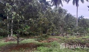 N/A Land for sale in Lan Khoi, Phatthalung 