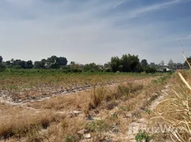 ขายที่ดิน ใน ห้วยโป่ง, ระยอง, ห้วยโป่ง, เมืองระยอง, ระยอง, ไทย