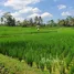  Terreno (Parcela) en venta en Terok Aik Belik, Lombok, Terok Aik Belik