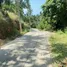  Grundstück zu verkaufen in Koh Samui, Surat Thani, Lipa Noi
