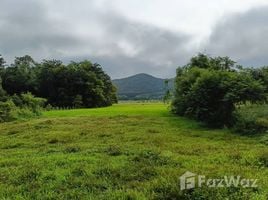 在FazWaz.cn出售的 土地, Doi Lan, Mueang Chiang Rai, 清莱, 泰国