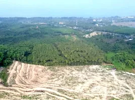 ขายที่ดิน ใน บางม่วง, พังงา, บางม่วง