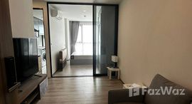 ยูนิตที่เหลืออยู่ในโครงการ ไนท์บริดจ์ คอลลาจ สุขุมวิท 107