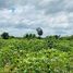  Terrain for sale in Cambodge, Krong Siem Reap, Siem Reap, Cambodge