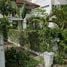  Land for sale in Thailand, Khlong Toei, Khlong Toei, Bangkok, Thailand