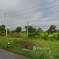  Land for sale in Khong, Nakhon Ratchasima, Thephalai, Khong