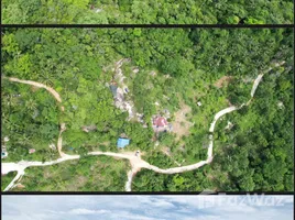 ขายที่ดิน ใน เกาะสมุย, สุราษฎร์ธานี, ลิปะน้อย, เกาะสมุย