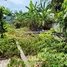  Land for sale in Nong Khaem, Bangkok, Nong Khaem, Nong Khaem, Bangkok