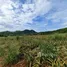  Land for sale in Pak Nam Pran, Hua Hin, Pak Nam Pran, Pran Buri, Prachuap Khiri Khan, Thailand