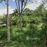  Land for sale in Krabi, Ao Nang, Mueang Krabi, Krabi