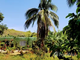 2 Schlafzimmer Villa zu verkaufen in Santa Barbara De Samana, Samana, Santa Barbara De Samana