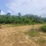  Terrain for sale in Thalang, Phuket, Pa Khlok, Thalang