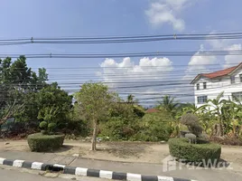 ขายที่ดิน ใน เชิงทะเล, ภูเก็ต, เชิงทะเล