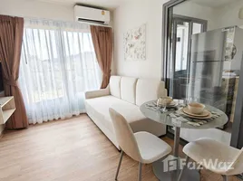 คอนโด 1 ห้องนอน ให้เช่า ในโครงการ ฟีล ภูเก็ต บาย เซนทรัล พัฒนา, วิชิต